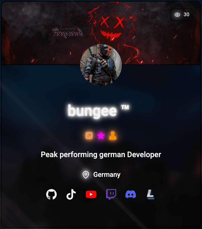bungee's profile card preview